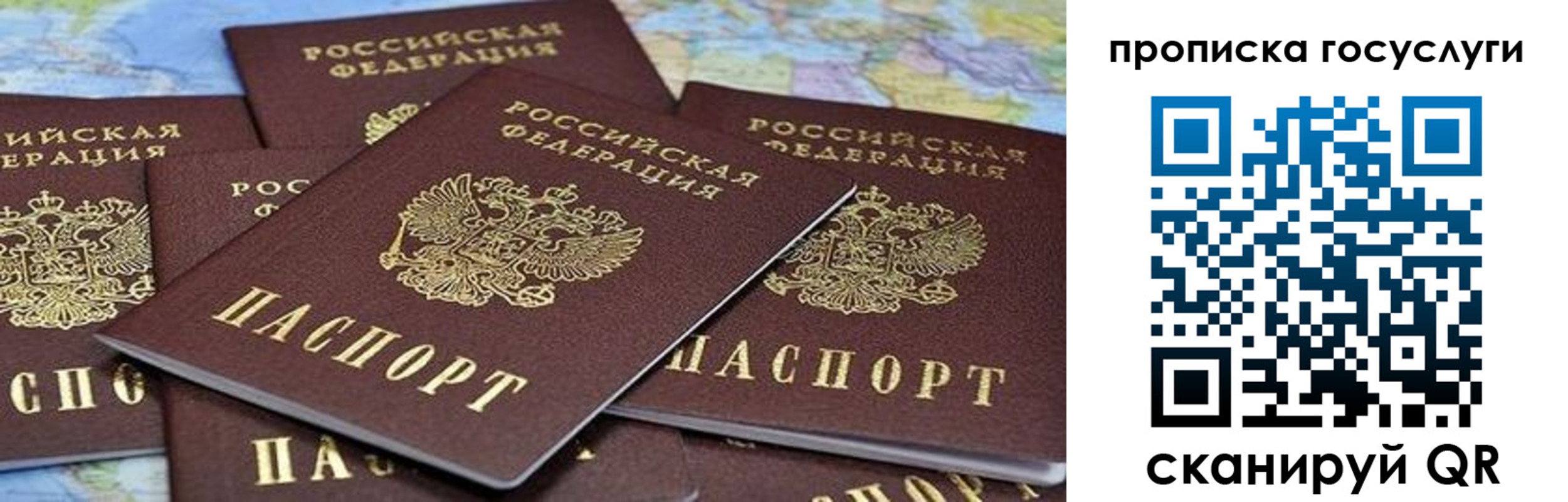 временная регистрация адрес в Алексеевке